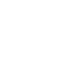 Data Processing Icon