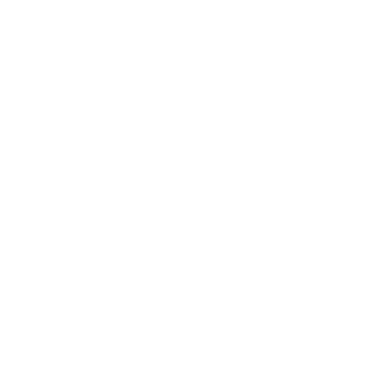 Photogrammetry & Mesh Optimisation Icon