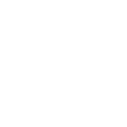 Digital Twin Icon